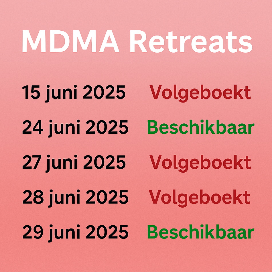 MDMA ceremony agenda
